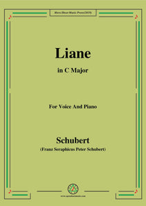 Schubert-Liane