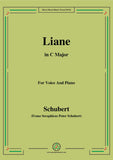Schubert-Liane