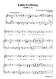 Schubert-Letzte Hoffnung,from 'Winterreise',Op.89(D.911) No.16