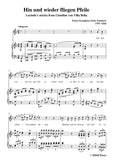 Schubert-Hin und wieder fliegen Pfeile