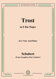 Schubert-Trost