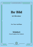 Schubert-Ihr Bild