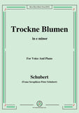Schubert-Trockne Blumen,from 'Die Schöne Müllerin',Op.25 No.18