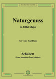 Schubert-Naturgenuss