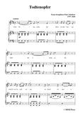 Schubert-Todtenopfer