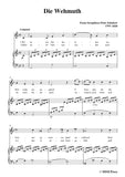 Schubert-Die Wehmuth