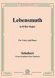 Schubert-Lebensmuth