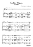 Schubert-Lied der Mignon