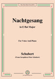 Schubert-Nachtgesang