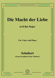 Schubert-Die Macht der Liebe