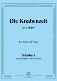 Schubert-Die Knabenzeit