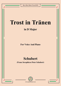 Schubert-Trost in Tränen