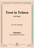 Schubert-Trost in Tränen