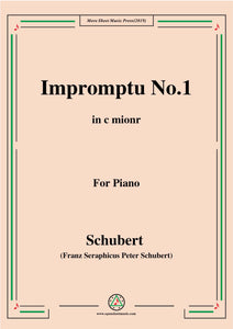 Schubert-Impromptu No.1 in c minor