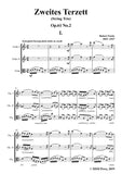 Fuchs-Zweites Terzett(String Trio),Op.61 No.2