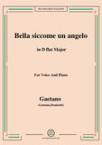 Donizetti-Bella siccome un angelo