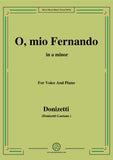 Donizetti-O,mio Fernando,from 'La Favorita'