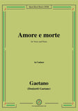 Donizetti-Amore e morte