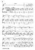 Donizetti-L'amor funesto