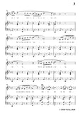 Donizetti-A mezzanotte
