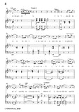 Donizetti-Ne ornera la bruna chioma