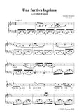 Donizetti-Una furtiva lagrima,in b flat minor,