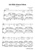 Gernsheim-Ich fühle deinen Odem,Op.19 No.1,in F Major
