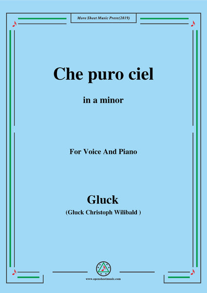 C06003W0004N01Gluck-