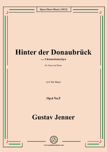 Jenner-Hinter der Donaubrück