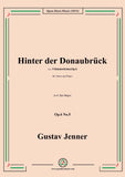 Jenner-Hinter der Donaubrück