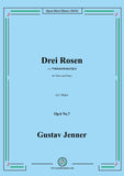 Jenner-Drei Rosen