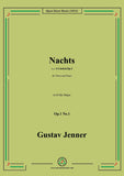 Jenner-Nachts