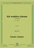 Jenner-Ich wandere einsam