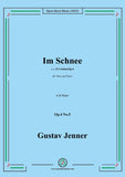 Jenner-Im Schnee