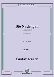 Jenner-Die Nachtigall