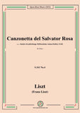 Liszt-Canzonetta del Salvator Rosa,S.161 No.3