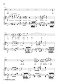 Liszt-Le vieux vagabond,S.304,in e minor