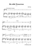Liszt-Die stille Wasserrose,S.321,in E Major