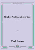 Loewe-Bleiches Antlitz, sei gegrusset