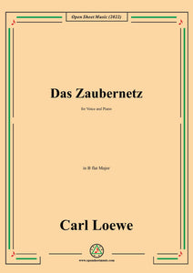 Loewe-Das Zaubernetz