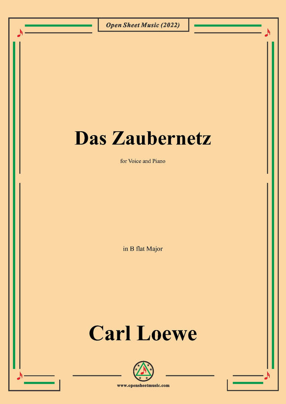 Loewe-Das Zaubernetz