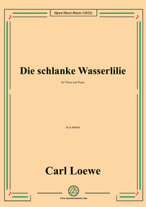 Loewe-Die schlanke Wasserlilie