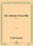 Loewe-Die schlanke Wasserlilie