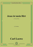 Loewe-Jesus ist mein Hirt