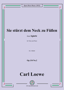 Loewe-Sie stürzt dem Neck zu Füßen