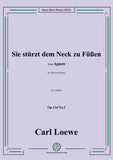 Loewe-Sie stürzt dem Neck zu Füßen