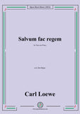 Loewe-Salvum fac regem