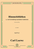 Loewe-Himmelsblüthen,Op 69 No.2