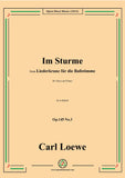 Loewe-Im Sturme,Op.145 No.3