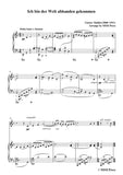 Mahler-Ich bin der Welt abhanden gekommen